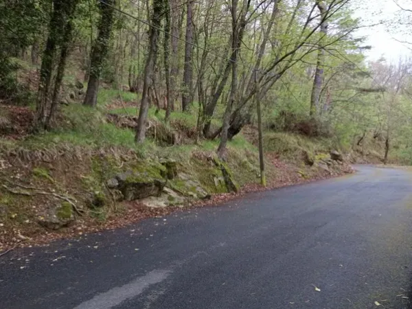 Terrain 14230 m²