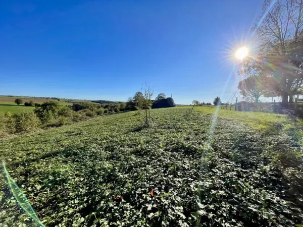 Terrain 11232 m²