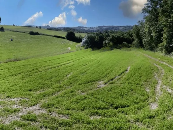 Terrain 1294 m²