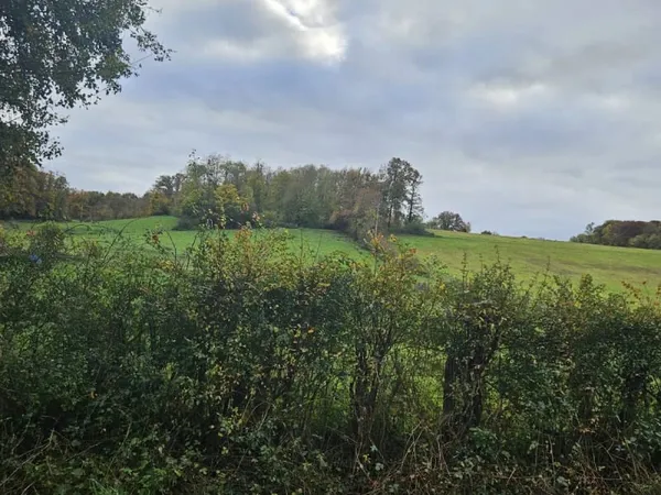 Terrain 1950 m²