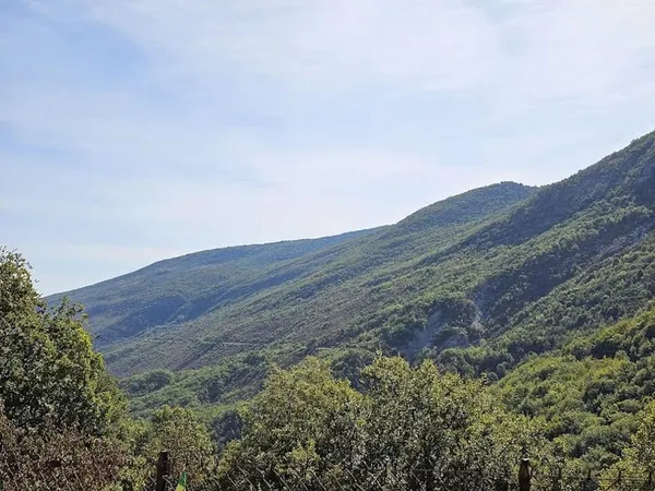 Terrain 76000 m²