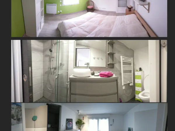 Appartement 1 pièce