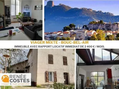 Viager 12 pièces 350 m²