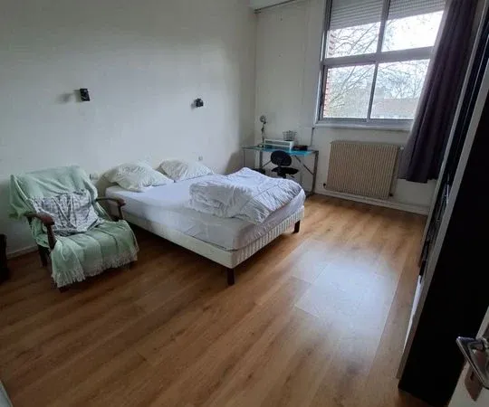 Chambre 1 pièce 15 m²