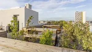 Appartement 1 pièce 19 m²