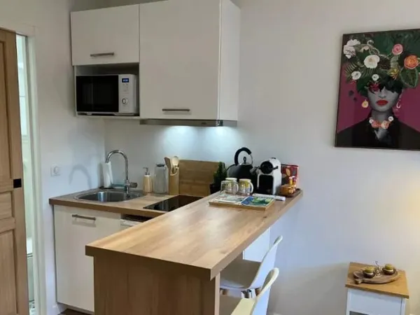 Appartement 1 pièce