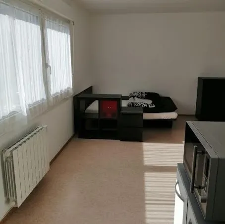 Appartement 1 pièce 30 m²
