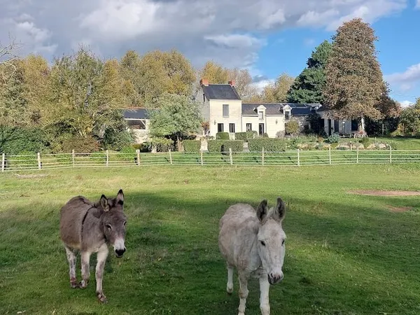 Maison 15 pièces 340 m²
