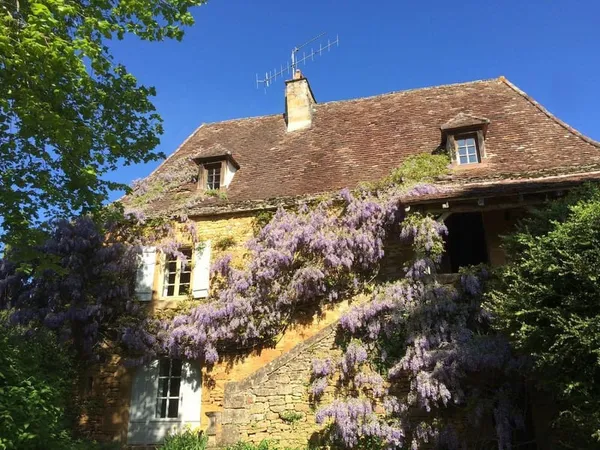 Spacieuse maison en pierre avec dépendances, piscine et 1,5 ha de terrain 
