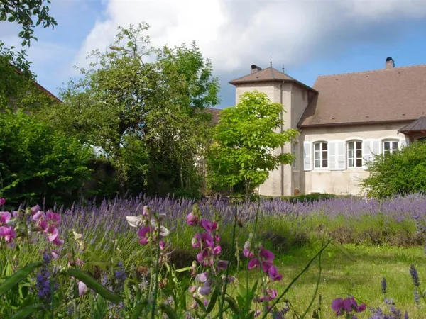 Petit Chateau De Vevy 