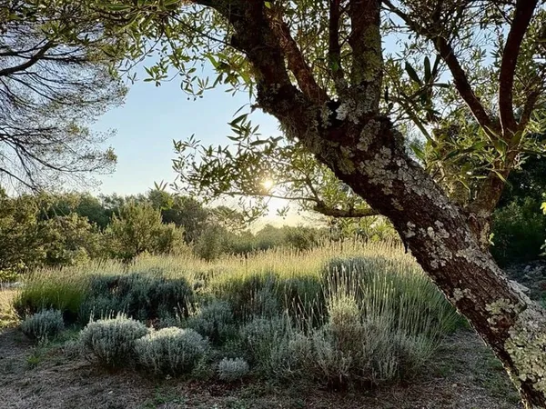 Superbe Bastide à Cotignac avec Maison d'Amis sur 6 hectares de terrain 