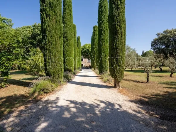 Mas en pierre de caractère entouré de jardins paysagers. 