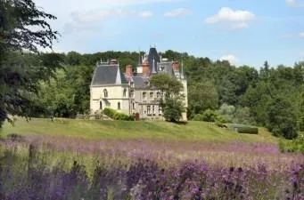 Chateau En Touraine 