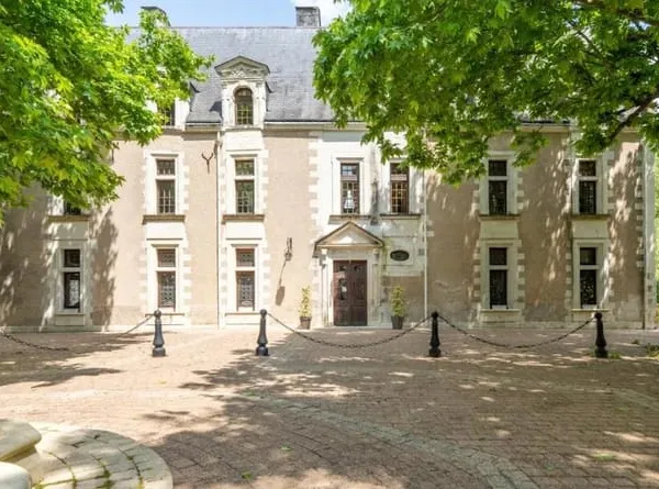Chateau En Touraine 