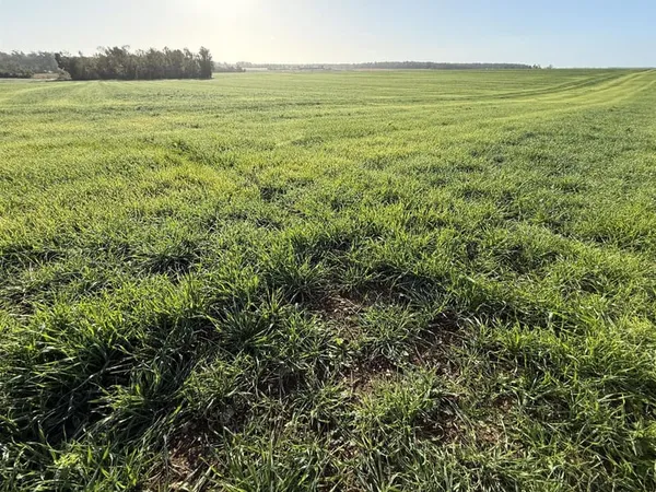 Terres agricoles, Produit d'investissement 