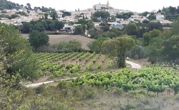 Parcelles agricoles Murviel Les Béziers 