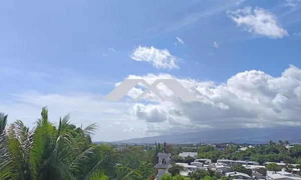 Basse Terre F3 vue Montagne 