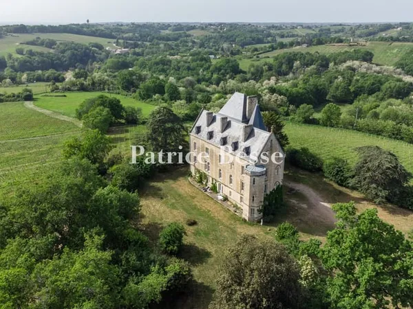 En Gironde, dans l'Entre-deux-Mers, un château néogothique au-dessus des vignes, dans un parc de 25