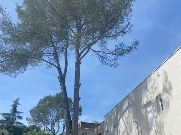 Nîmes, Hauts de camplanier, appartement type 4 et garages