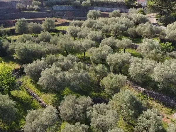 Terrain à batir