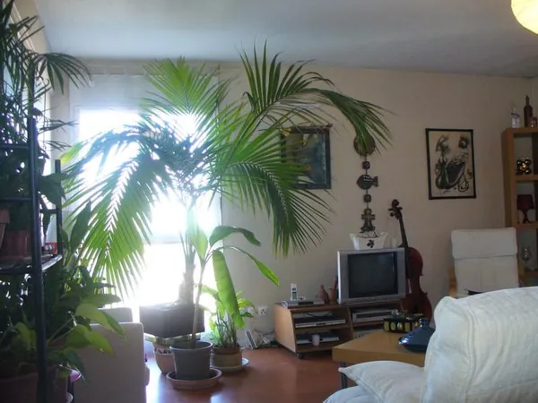 Chambre de 11m2 à louer sur Toulouse