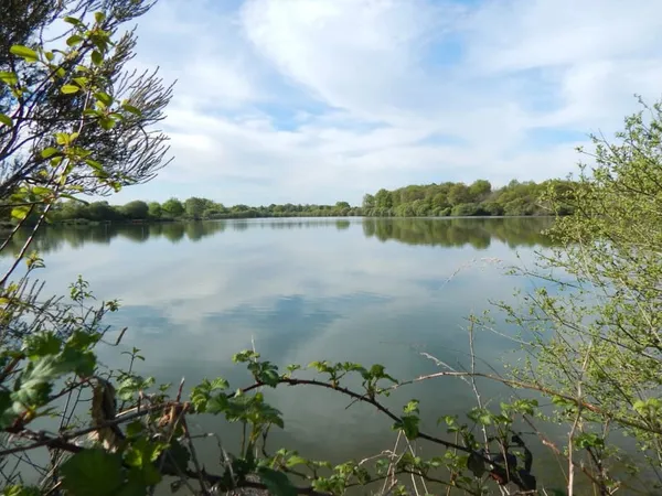 CHARENTE, ENCLOS CYNEGETIQUE AVEC MAISON D'HABITATION ET DEPENDA