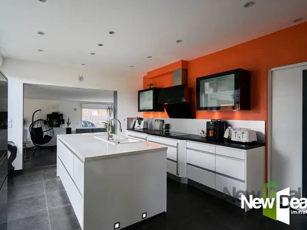 Maison Bourgeoise 4/5 chambres 360 M2 + STUDIO 32 M2 ROSULT