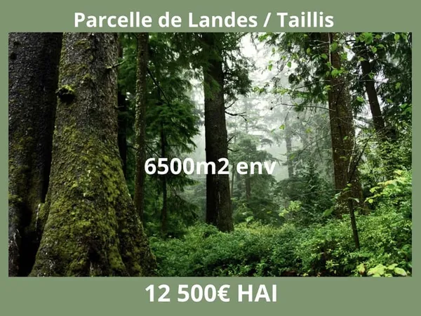 Parcelle de Landes