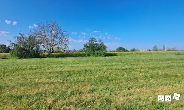 Terrain divisible et constructible