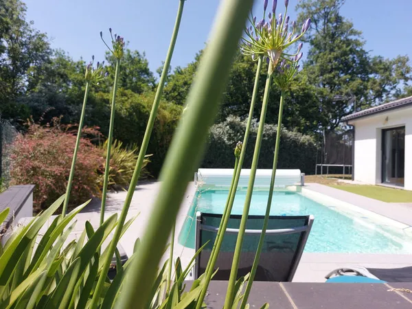 Maison à vendre 5 pièces MONTAUBAN (82), 150m² de plain pied avec 4 chambres, double garage, jardin 