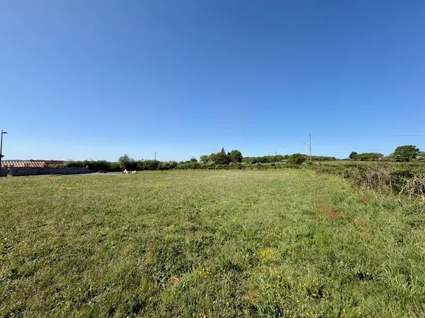 Terrain à vendre Quinssaines (03) - 694m² - Plat