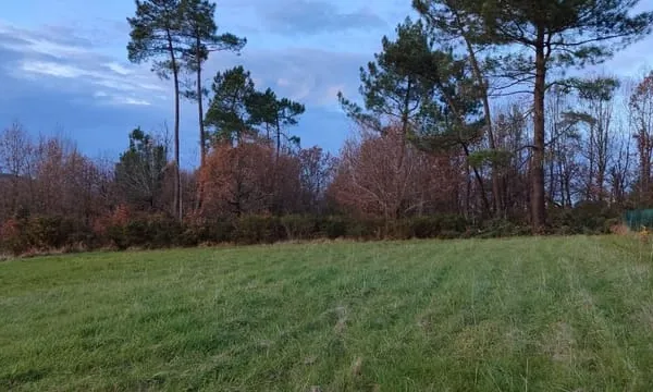 Beau Terrain à bâtir de 1 172 m² avec vue dégagée, borné, prévoir accès, viabilités à proximité.