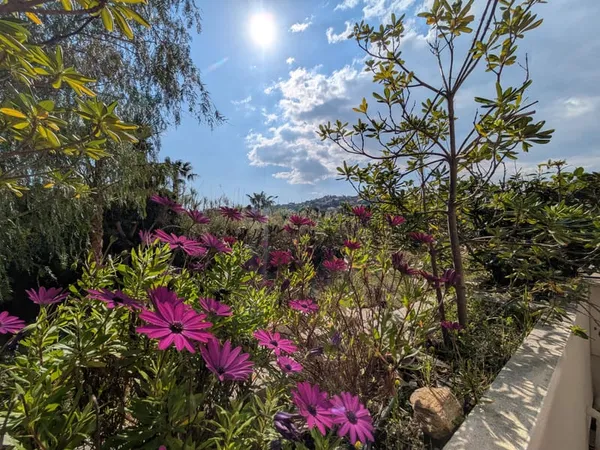 À 300 m à pied de la plage de Saint-Clair au Lavandou, super