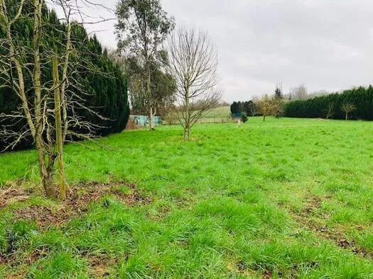 Terrain constructible- Belle opportinité 
