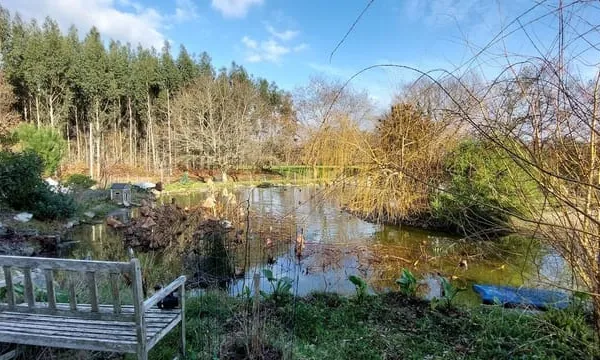 Studio de 50m2 à louer sur Candresse