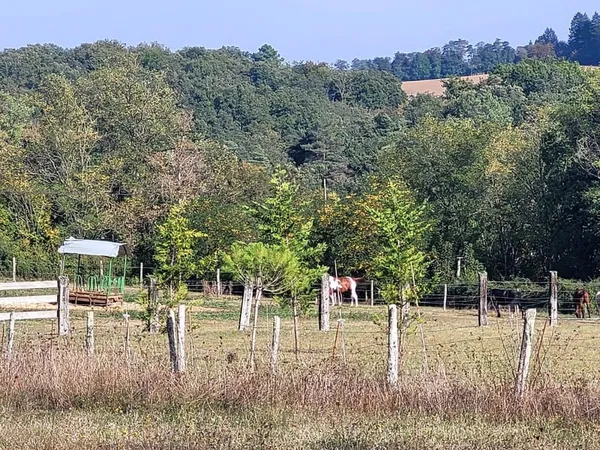 Terrain de loisir