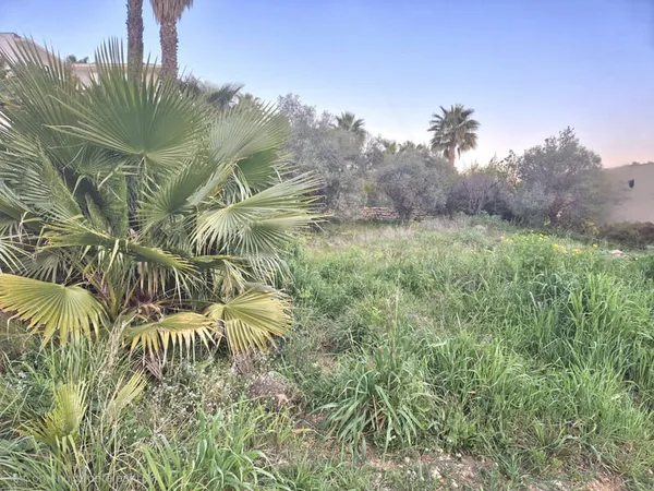TERRAIN DE 492 M2 - PETITE VUE MER - 83150 BANDOL