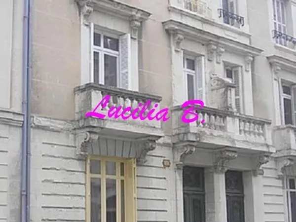 Appartement type 2 avec cave à louer