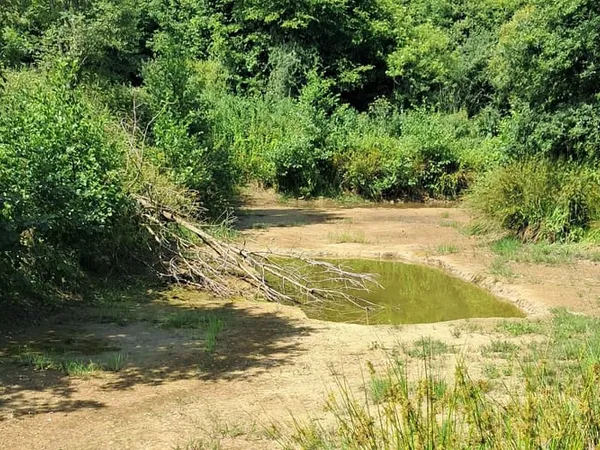 Terrain 1230 m²