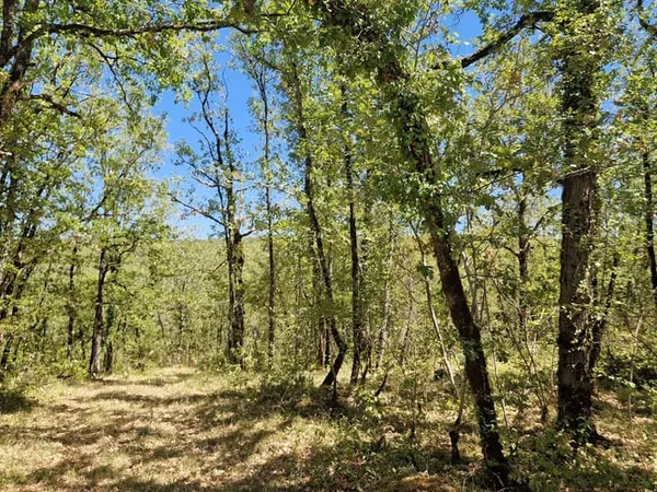 Terrain 15920 m²