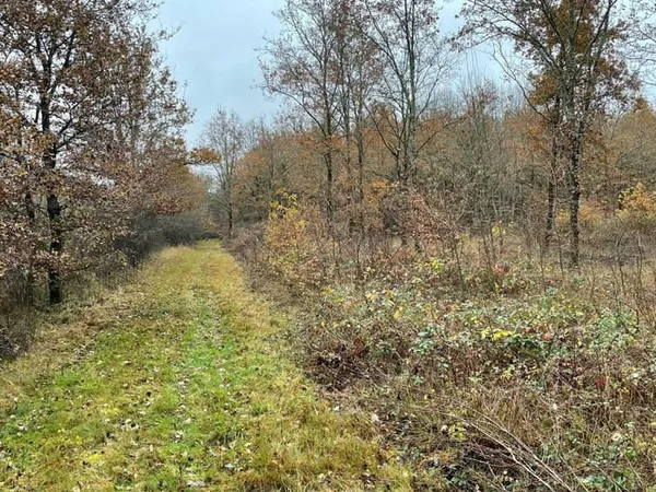 Terrain 32825 m²