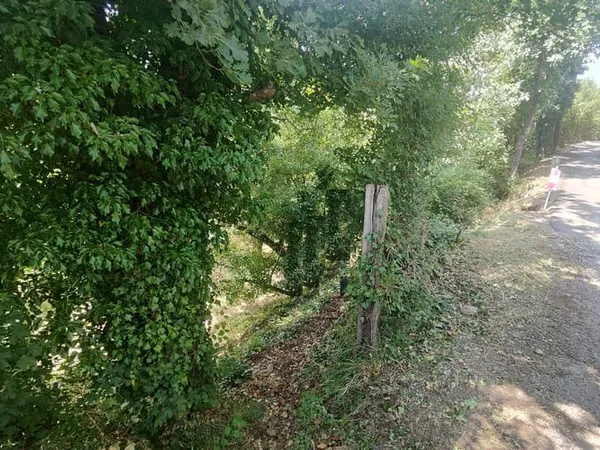 Terrain 2115 m²