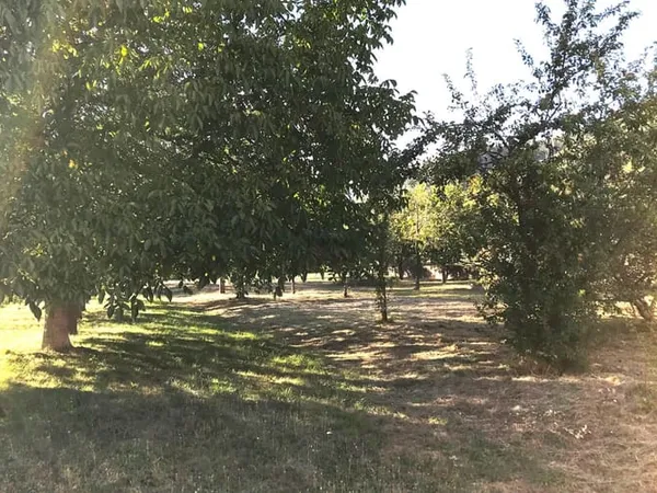 Terrain 939 m² 