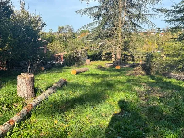 Terrain 1556 m² 