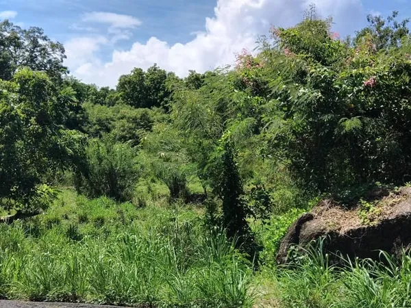 Terrain 4268 m² 