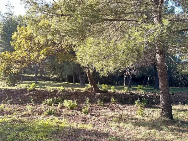 Terrain 646 m² 