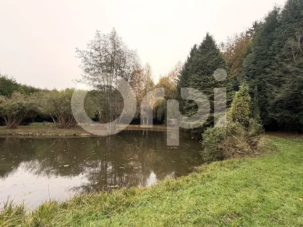 Terrain 11000 m² 