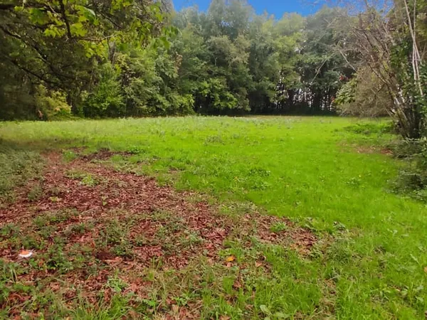 Terrain 1785 m² 