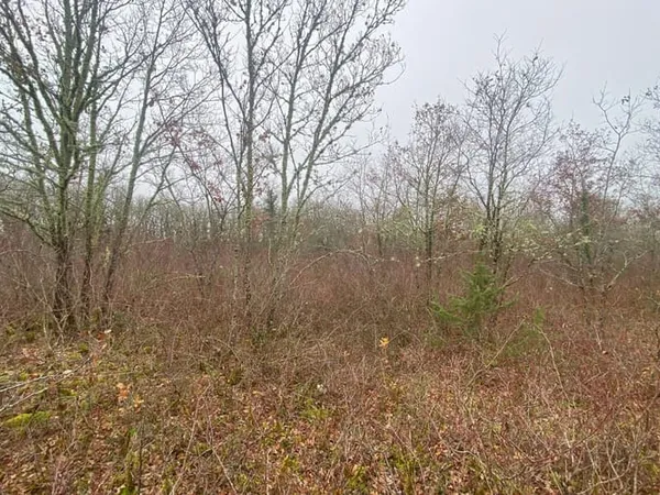 Terrain 10000 m² 