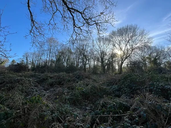 Terrain 1397 m² 